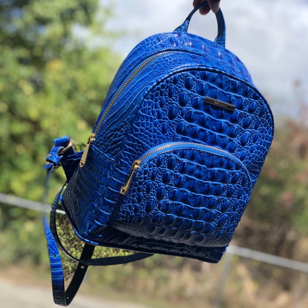 Brahmin Backpack + Wallet